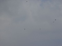 DSC00868.JPG